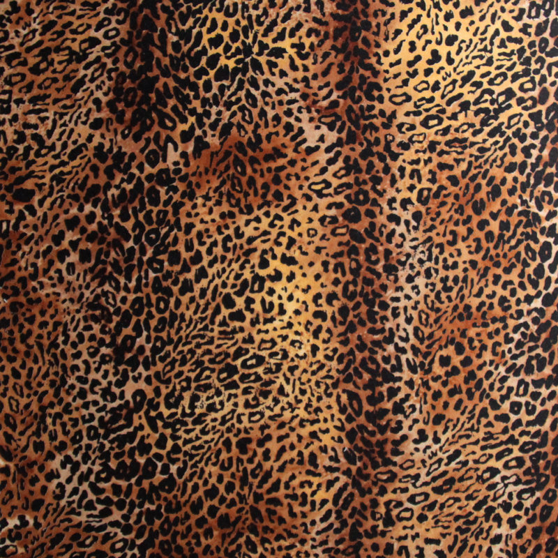 Pieles Leopardo 53