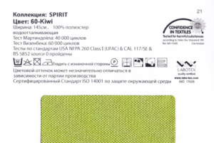 Spirit 60 Kiwi